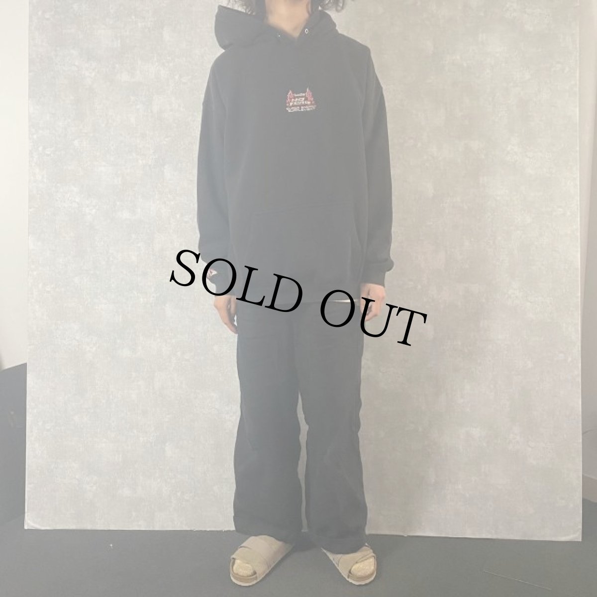 画像2: NO FEAR "SUPER ENERGY SUPPLEMENT" 刺繍スウェットフーディ XL (2)