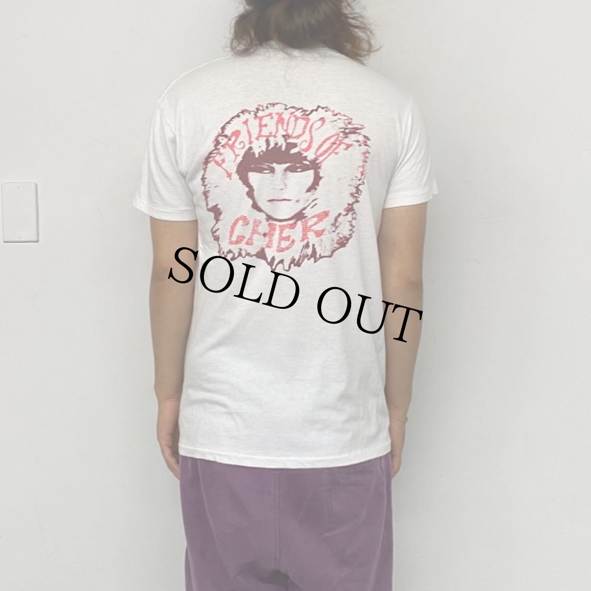 画像6: 70〜80's REDD KROSS "Friends of Cher" USA製 ロックバンドTシャツ M (6)