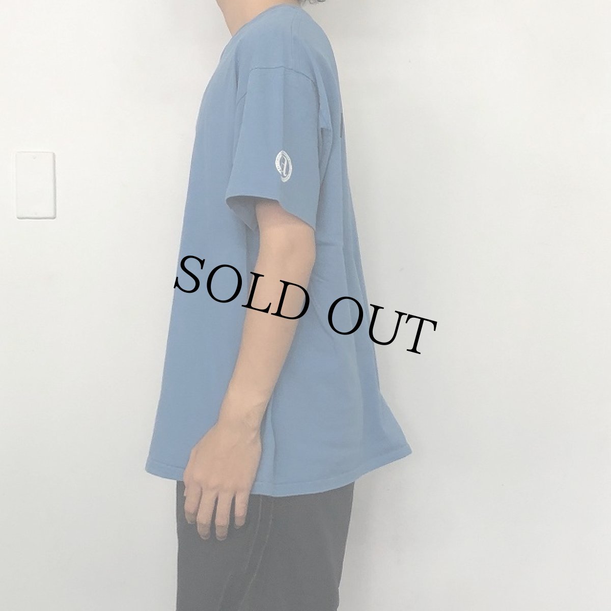 画像4: 90's Frank Black "The Cult of Ray" プロモ ミュージシャン アルバムTシャツ (4)