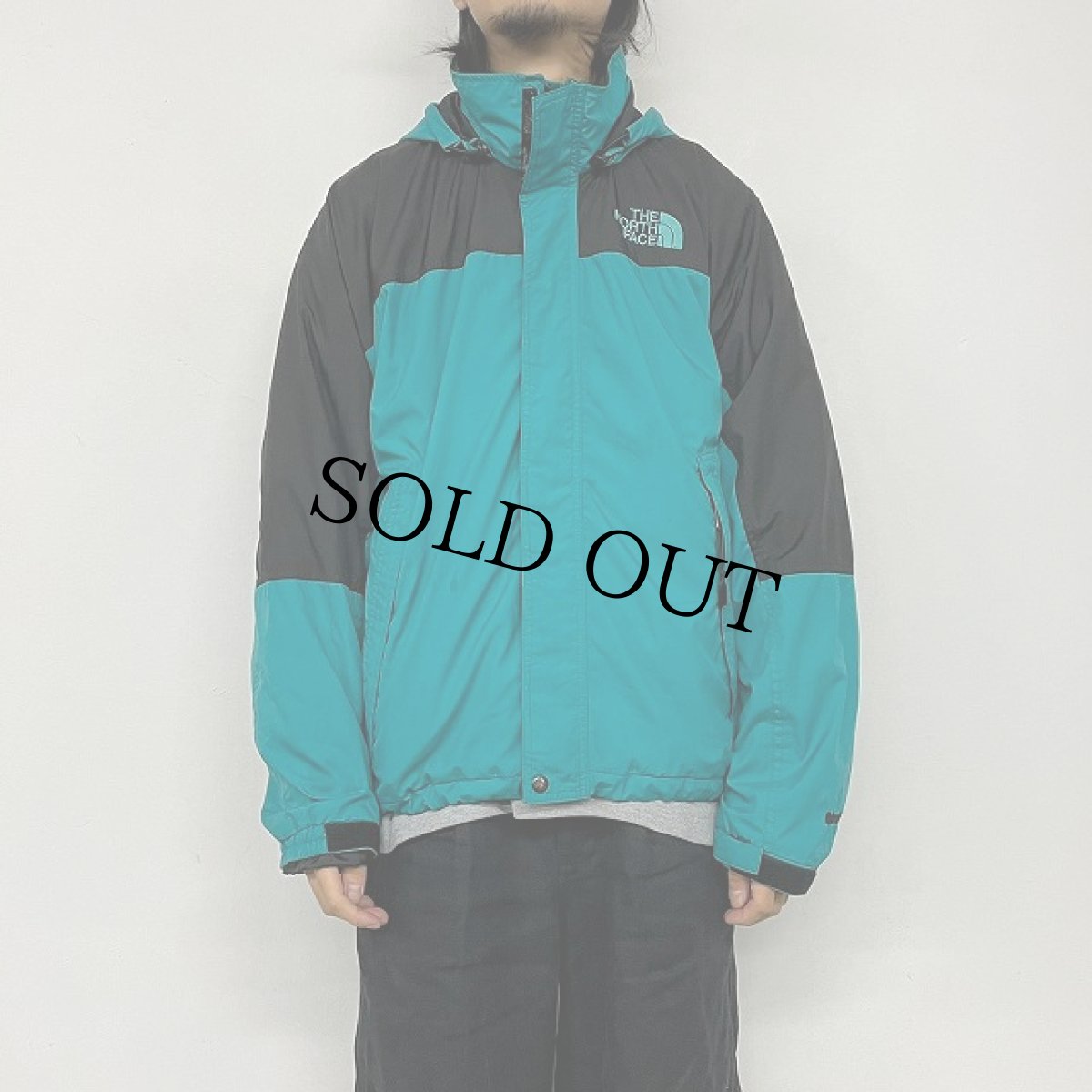 画像2: THE NORTH FACE "Hydrenaline" マウンテンパーカ L (2)