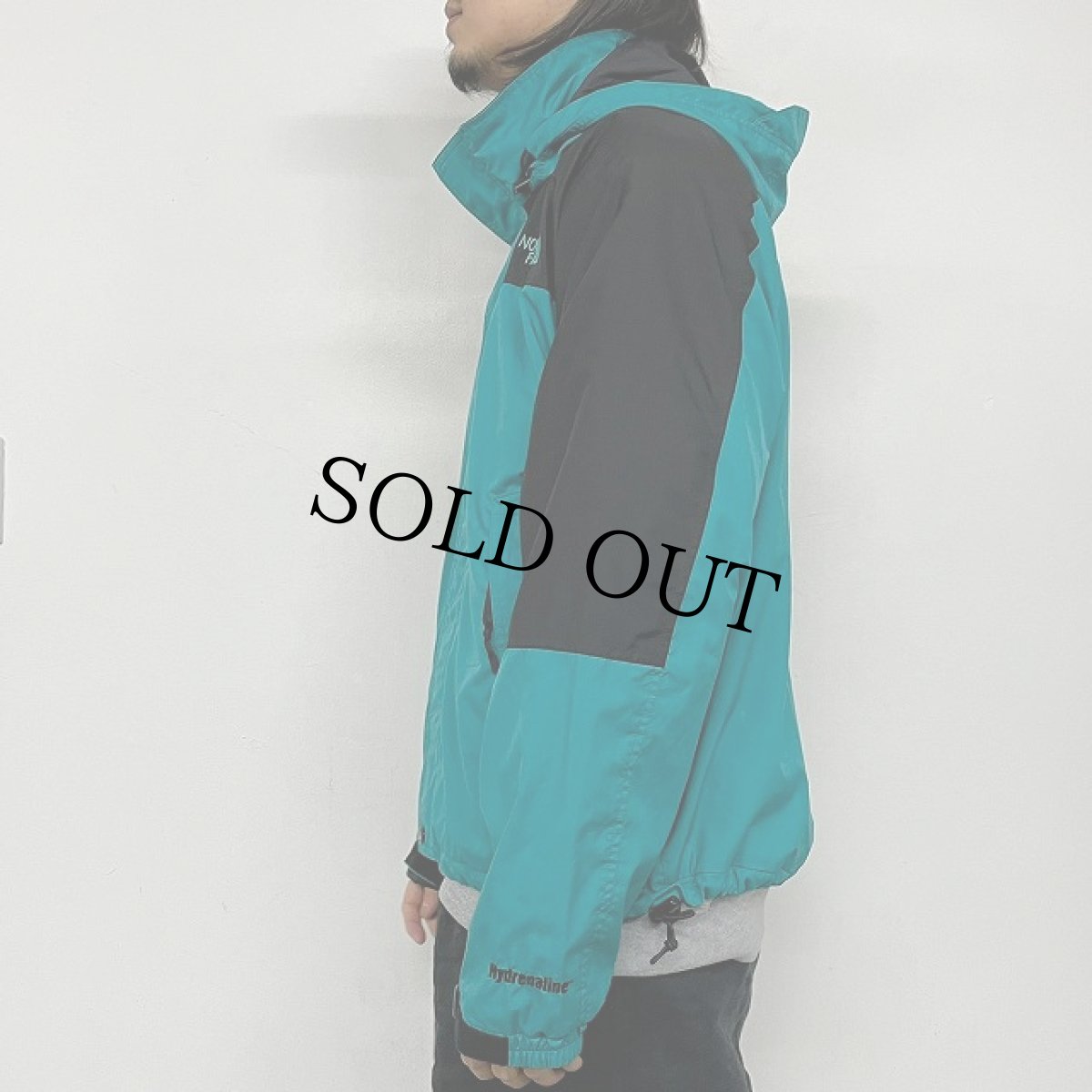画像3: THE NORTH FACE "Hydrenaline" マウンテンパーカ L (3)