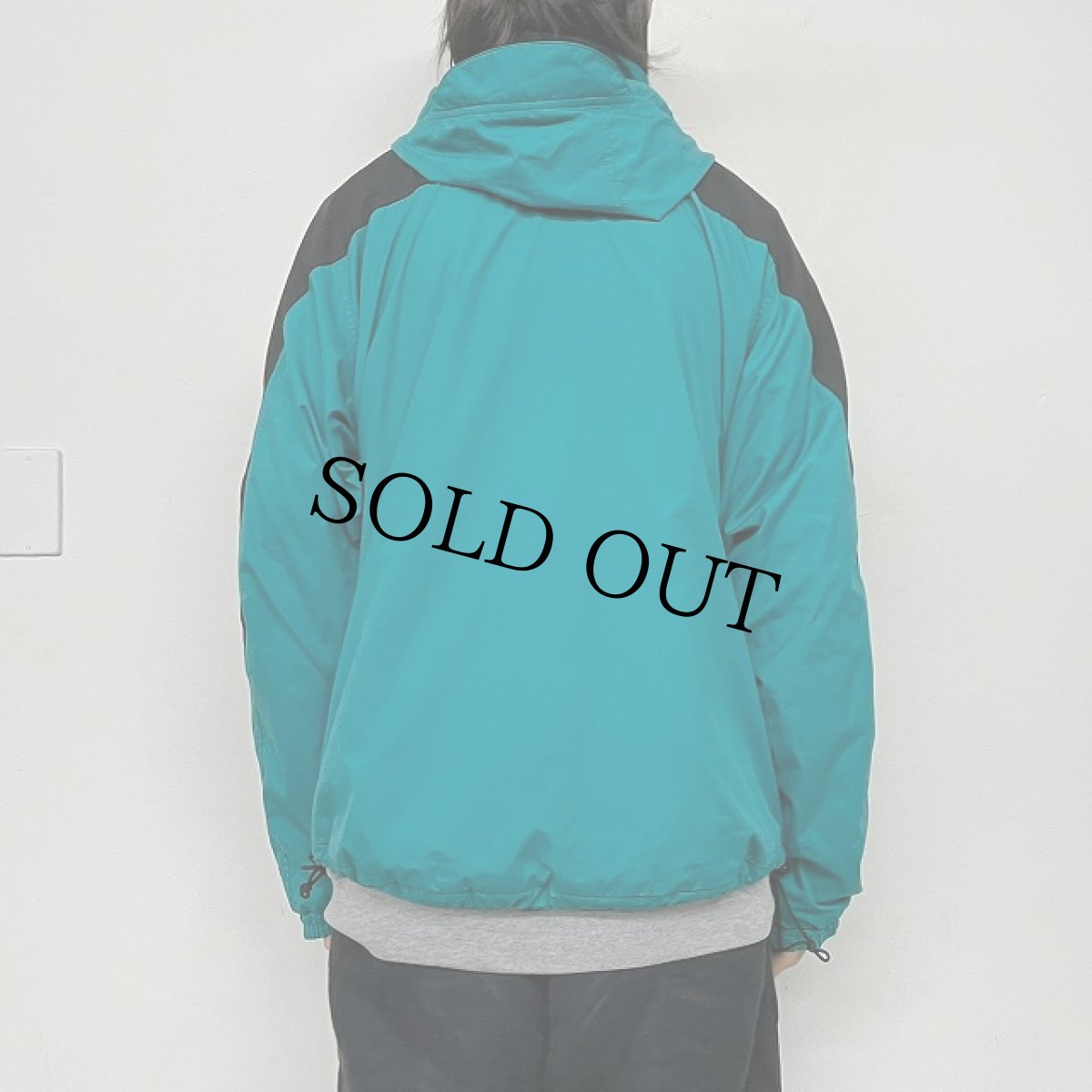 画像4: THE NORTH FACE "Hydrenaline" マウンテンパーカ L (4)