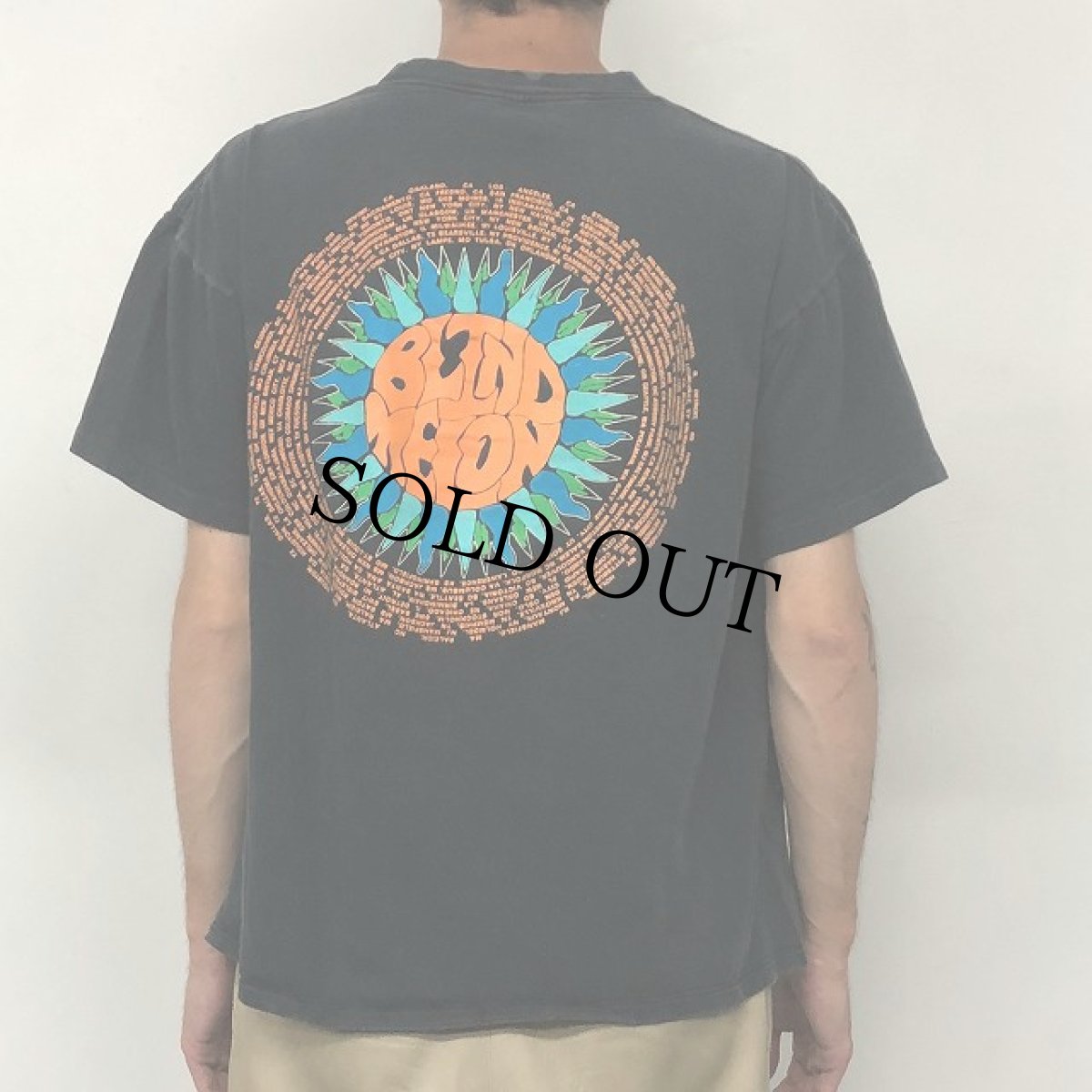 画像6: 90's BLIND MELON USA製 ロックバンド ツアーTシャツ XL (6)