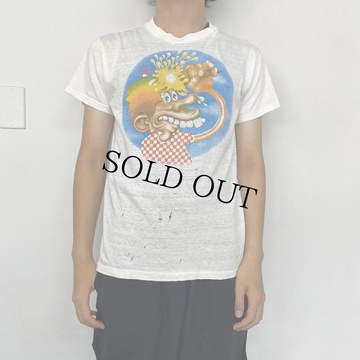 画像3: 70's GRATEFUL DEAD "アイスクリームキッド" ロックバンドTシャツ L (3)