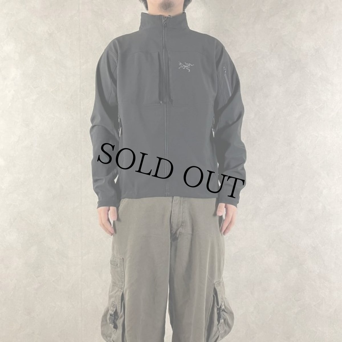 画像2: ARC'TERYX ワンポイントロゴ マウンテンジャケット M (2)