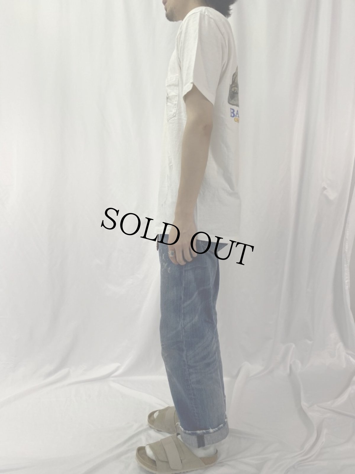 画像3: 90's BANANA REPUBLIC USA製 "SAFARI & TRAVEL CLOTHING" ライオンプリント ポケットTシャツ L (3)