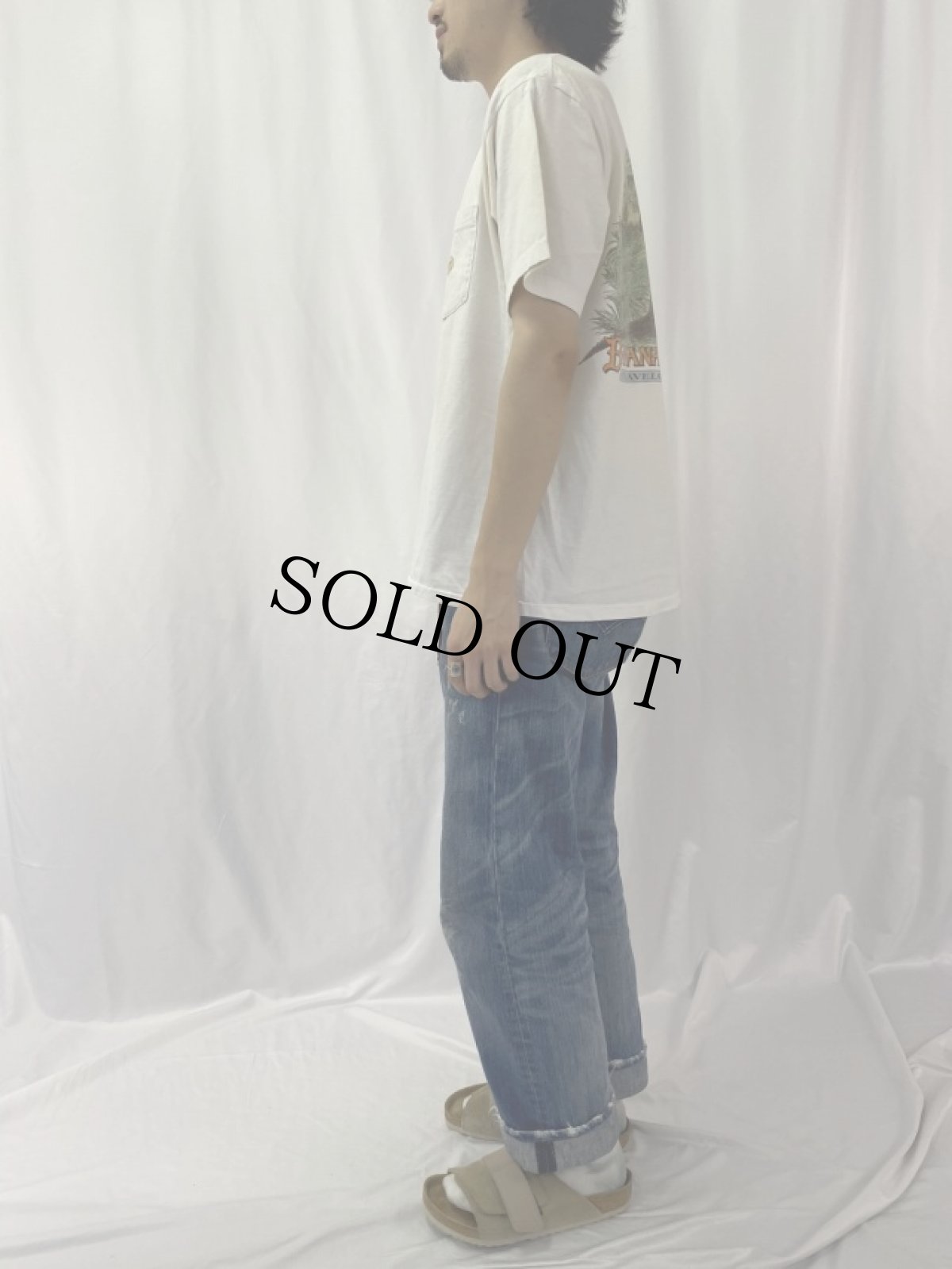 画像3: 90's BANANA REPUBLIC "TRAVEL CLOTHING" カンガループリント ポケットTシャツ (3)