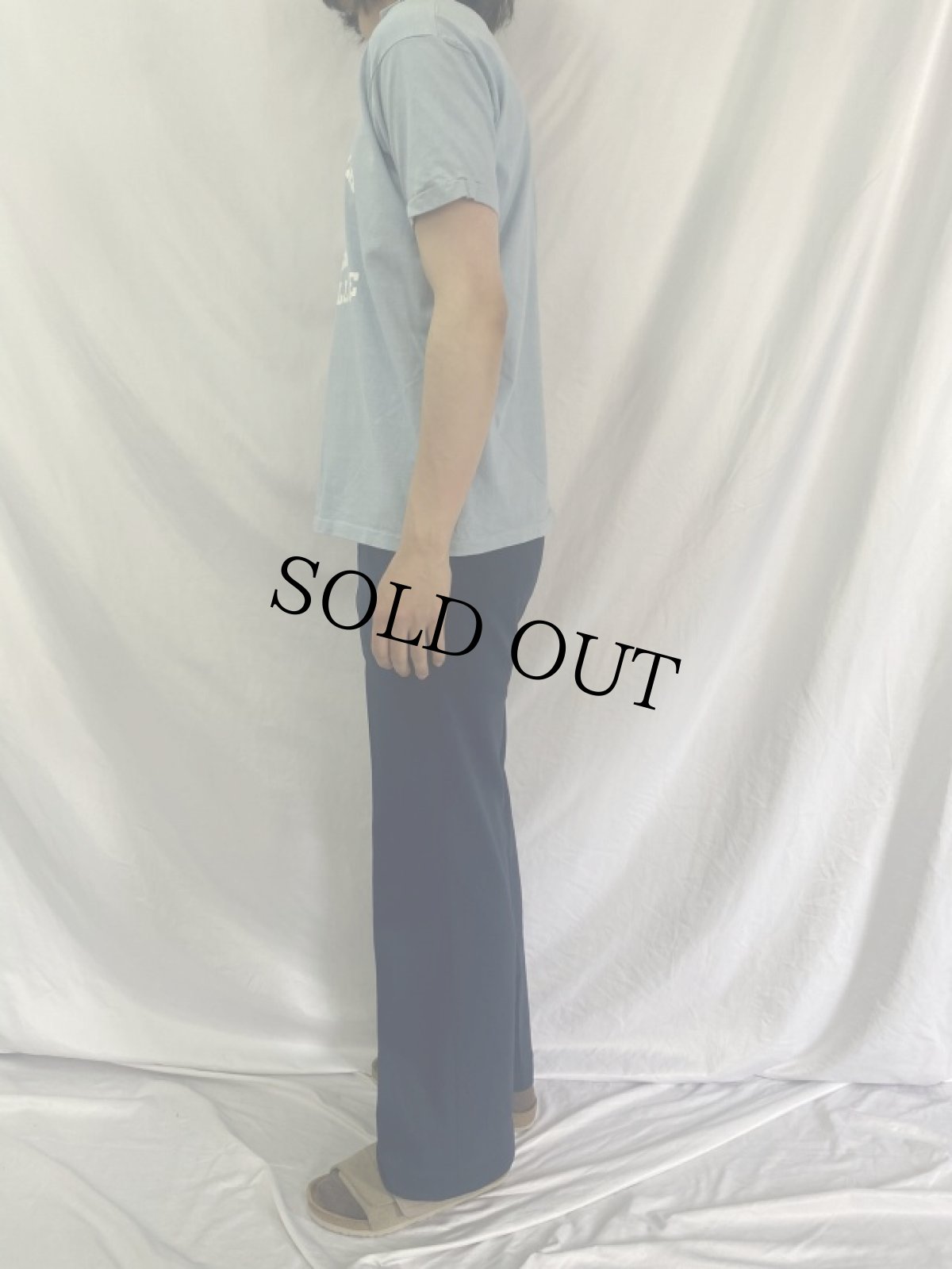 画像3: 60's Champion ランタグ "CAZENOVIA JR. COLLEGE" カレッジTシャツ M (3)