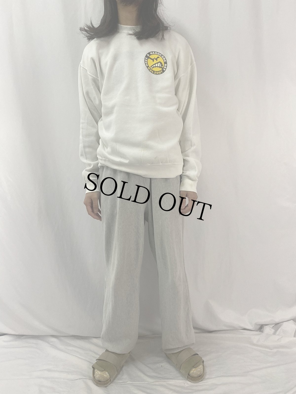 画像2: 80's BALZOUT USA製 "HAVE A HARDCORE DAY" プリントスウェット L (2)