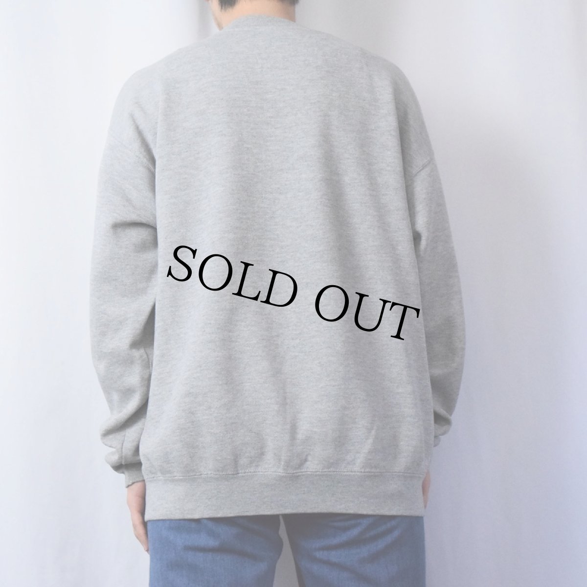 画像3: 90's blind skatebords USA製 プリントスウェット L (3)