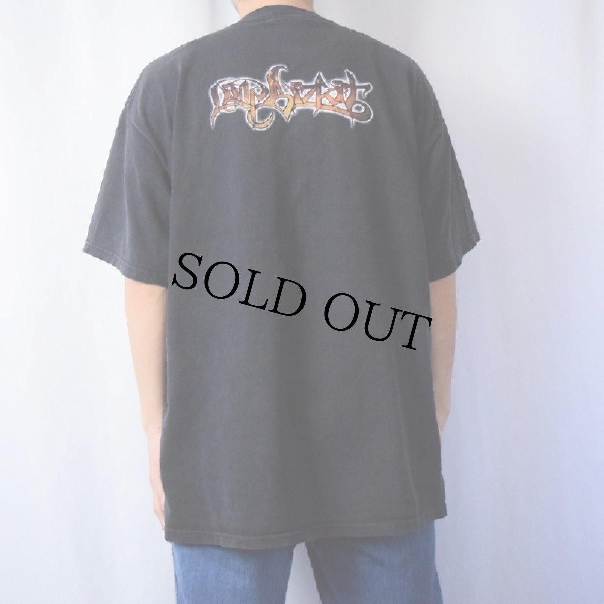 画像3: LIMP BIZKIT "Significant Other" ミクスチャー・ロックバンド アルバムTシャツ (3)