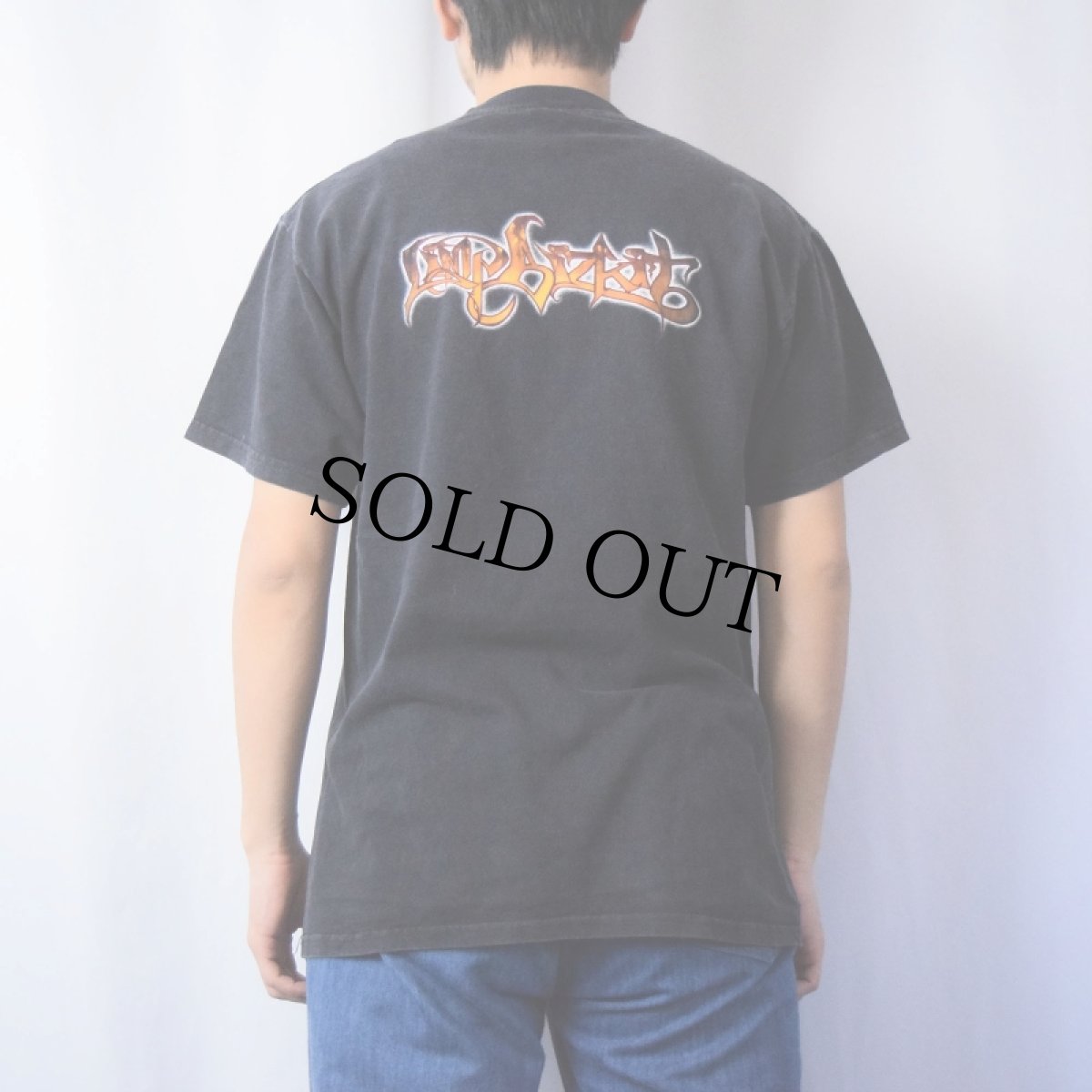 画像3: LIMP BIZKIT "Significant Other" ミクスチャー・ロックバンド アルバムTシャツ M (3)