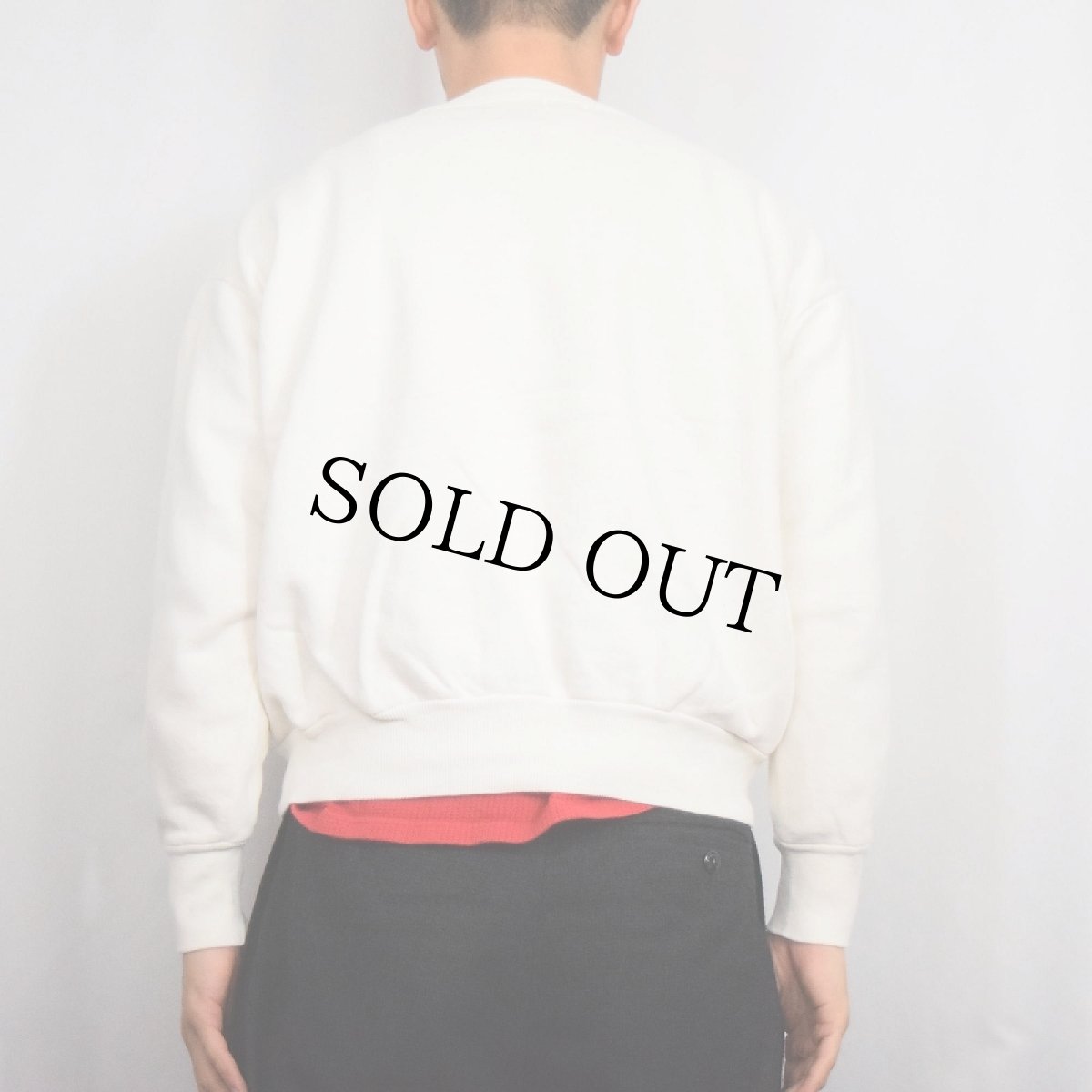 画像3: 60's 前V はめ込みガゼット "Sioux Lookout" プリントスウェット (3)