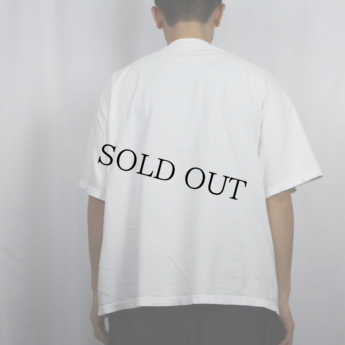 画像4: 90's Rene Magritte "ゴルコンダ" アートプリントTシャツ XL (4)