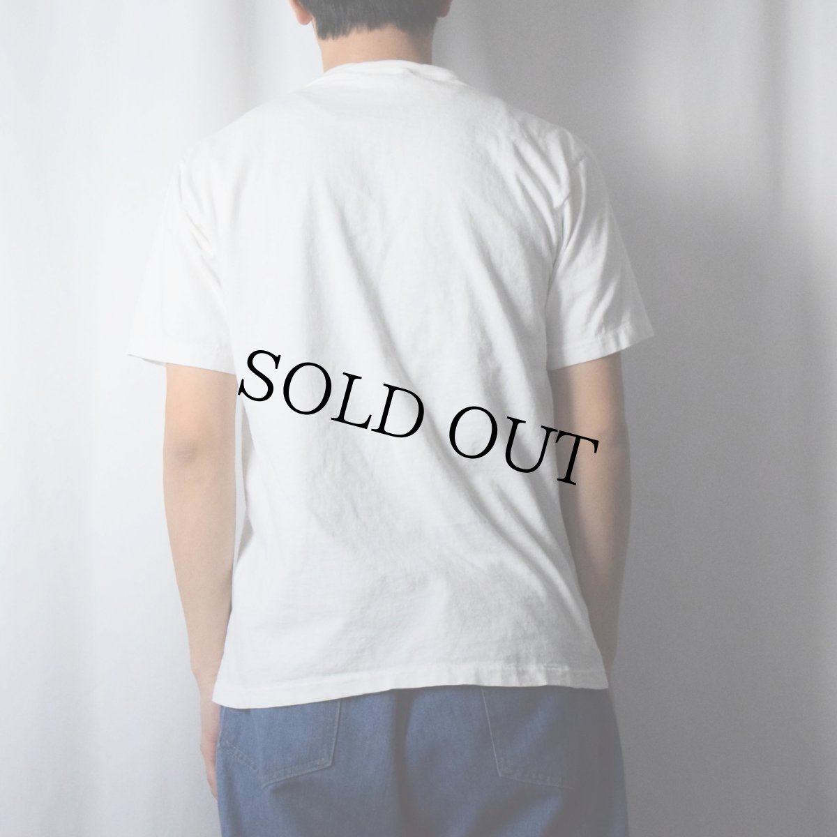 画像3: 90's USA製 オズの魔法使い パロディプリントTシャツ L (3)