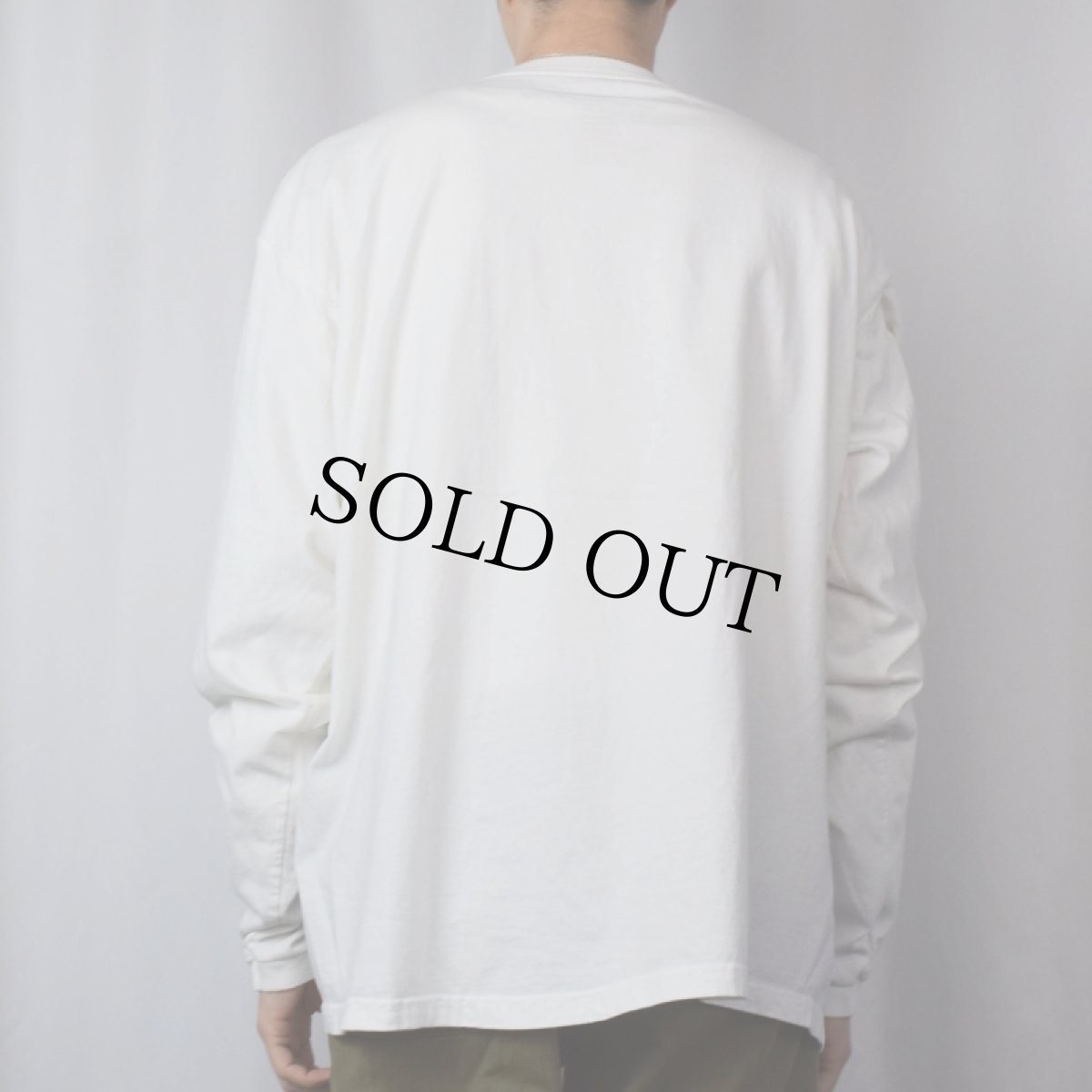 画像3: Patagonia ORGANIC COTTON カラビナ×鳥 騙し絵プリントロンT XL (3)