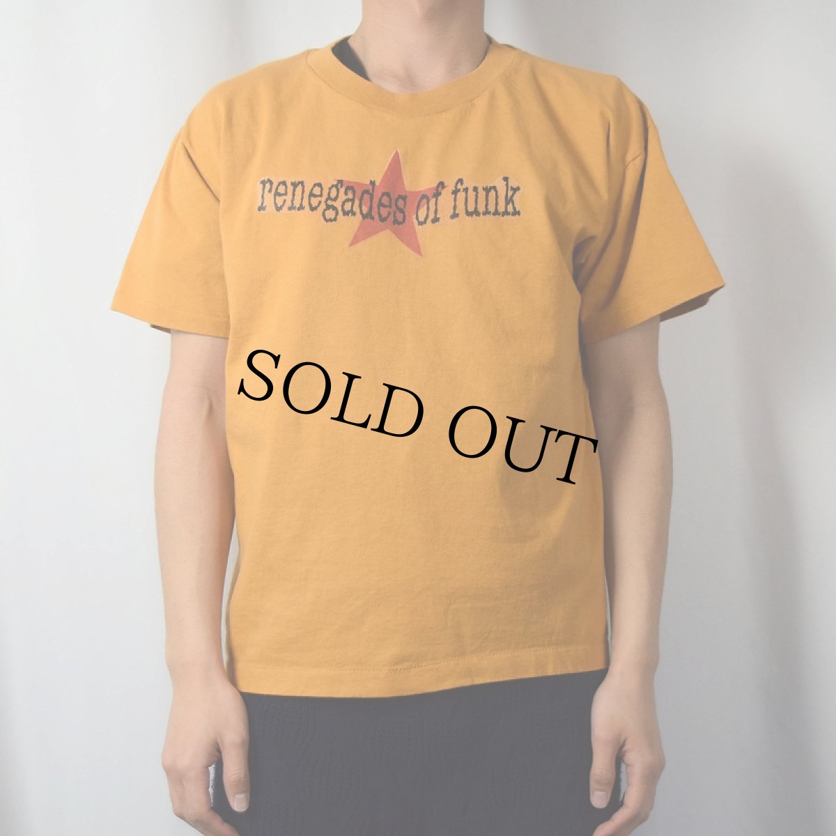 画像2: 90's Rage Against the Machine USA製 "renegades of funk" ロックバンドプリントTシャツ L (2)