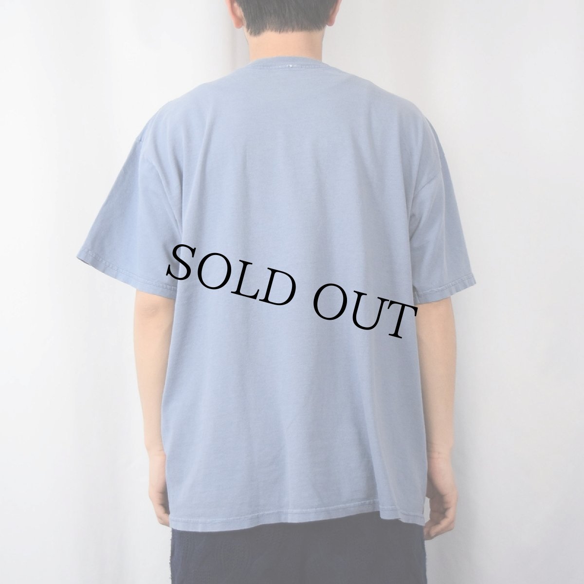 画像3: かいじゅうたちのいるところ 絵本プリントTシャツ (3)