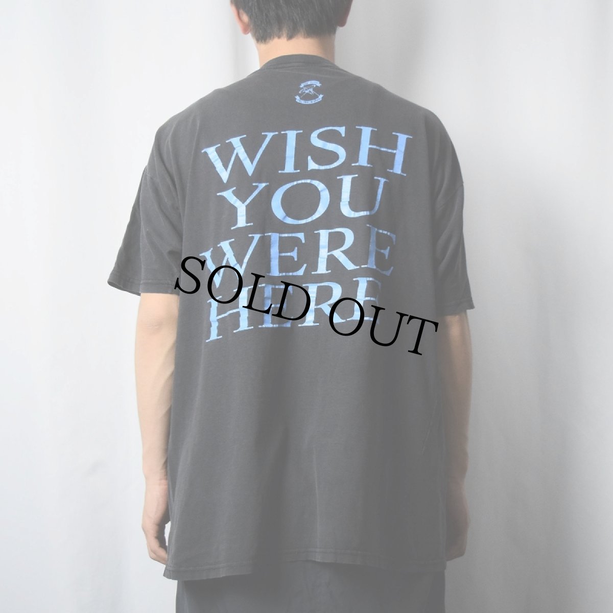 画像3: PINK FLOYD "WISH YOU WERE HERE" ロックバンドTシャツ BLACK (3)