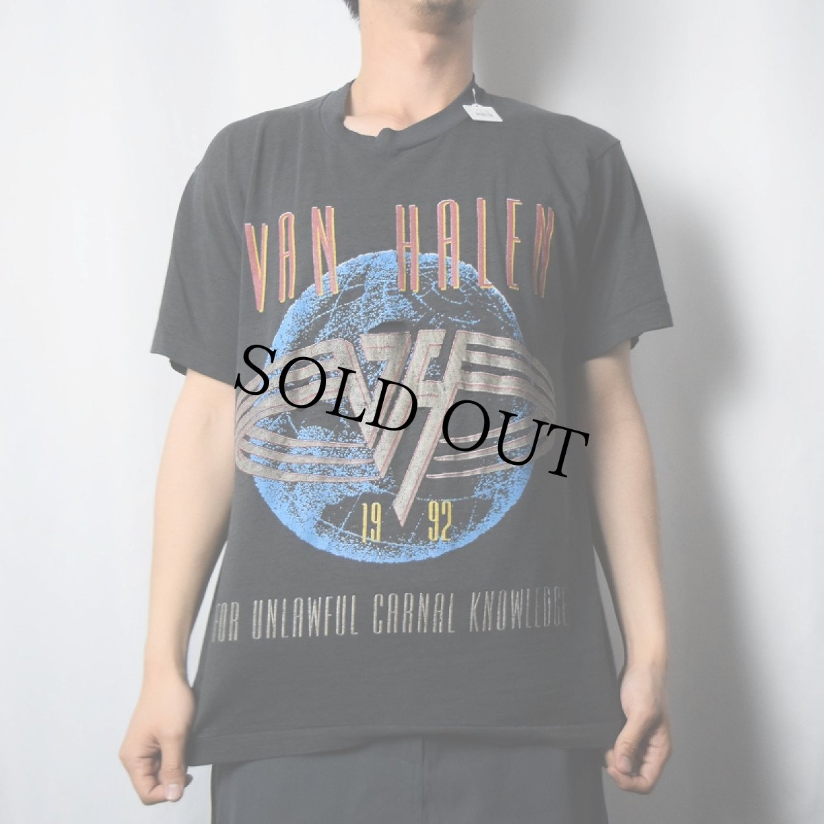 画像2: 90's VAN HALEN "FOR UNLAWFUL CARNAL KNOWLEDGE" ハードロックバンドTシャツ BLACK (2)