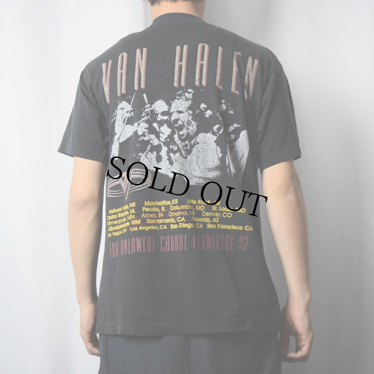 画像3: 90's VAN HALEN "FOR UNLAWFUL CARNAL KNOWLEDGE" ハードロックバンドTシャツ BLACK (3)