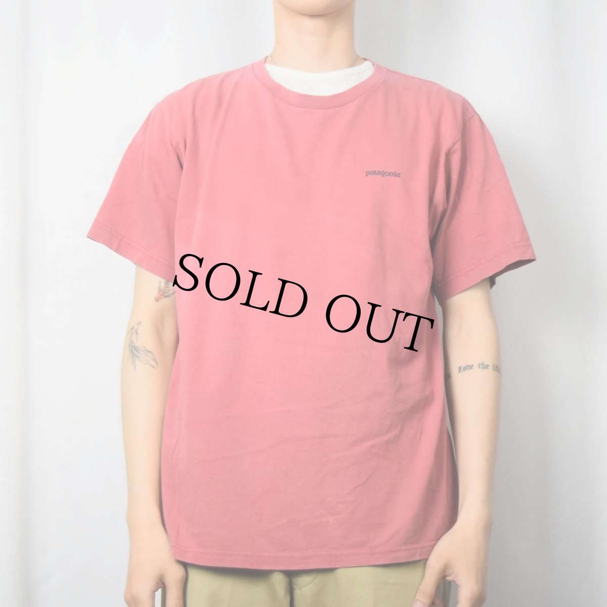 画像2: 90's Patagonia USA製 "THE FITZROY SKYLINE" ロゴプリントTシャツ M (2)