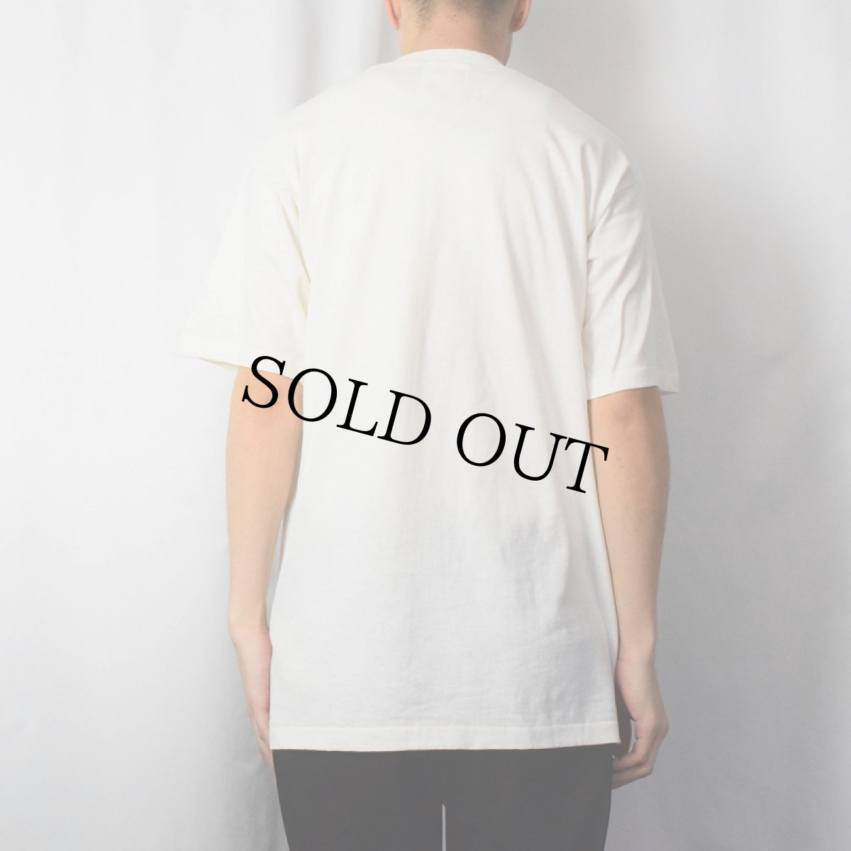 画像3: 90's SPAM USA製 プリントTシャツ DEADSTOCK L (3)