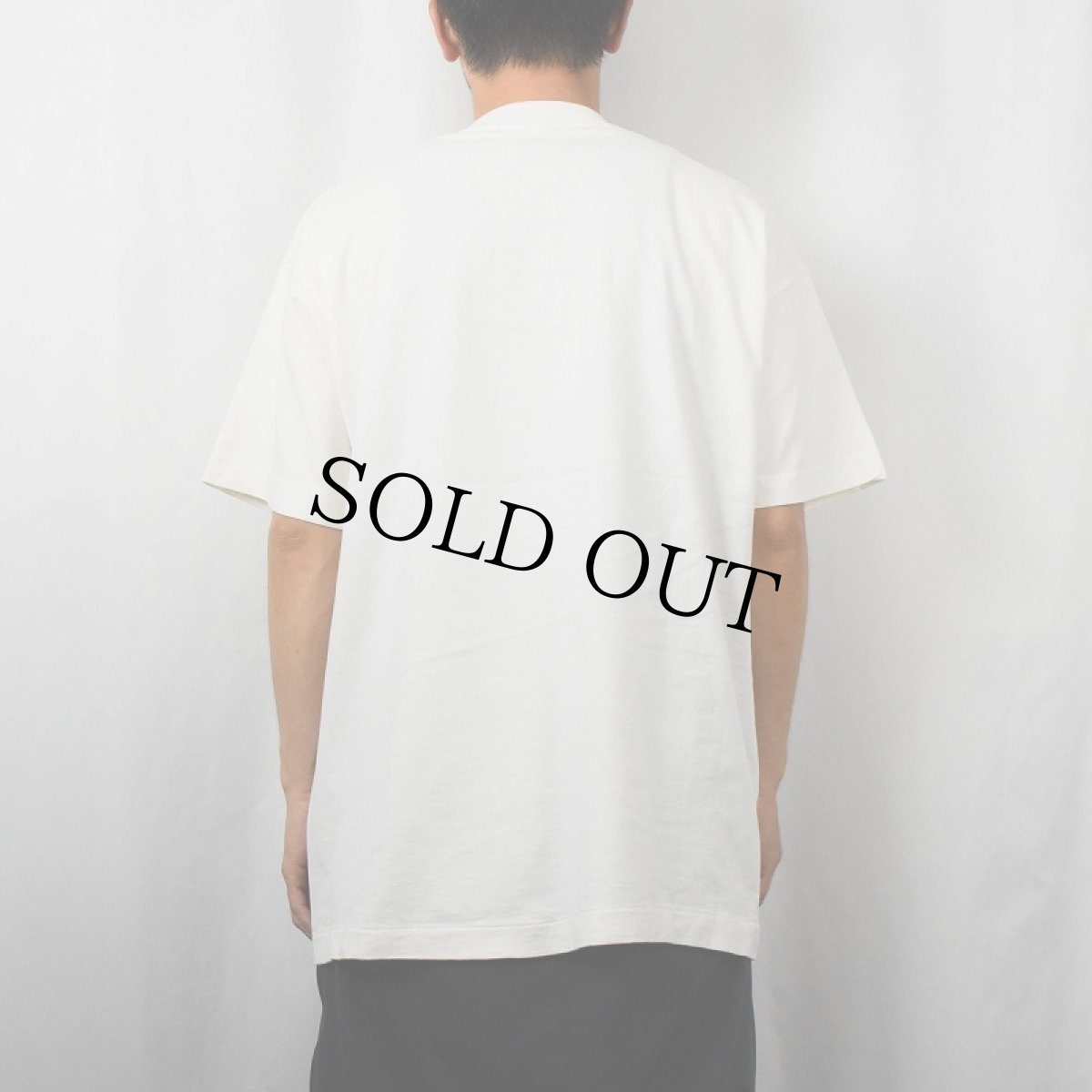 画像3: 90's PIG PEN アニメキャラクタープリントTシャツ XL (3)