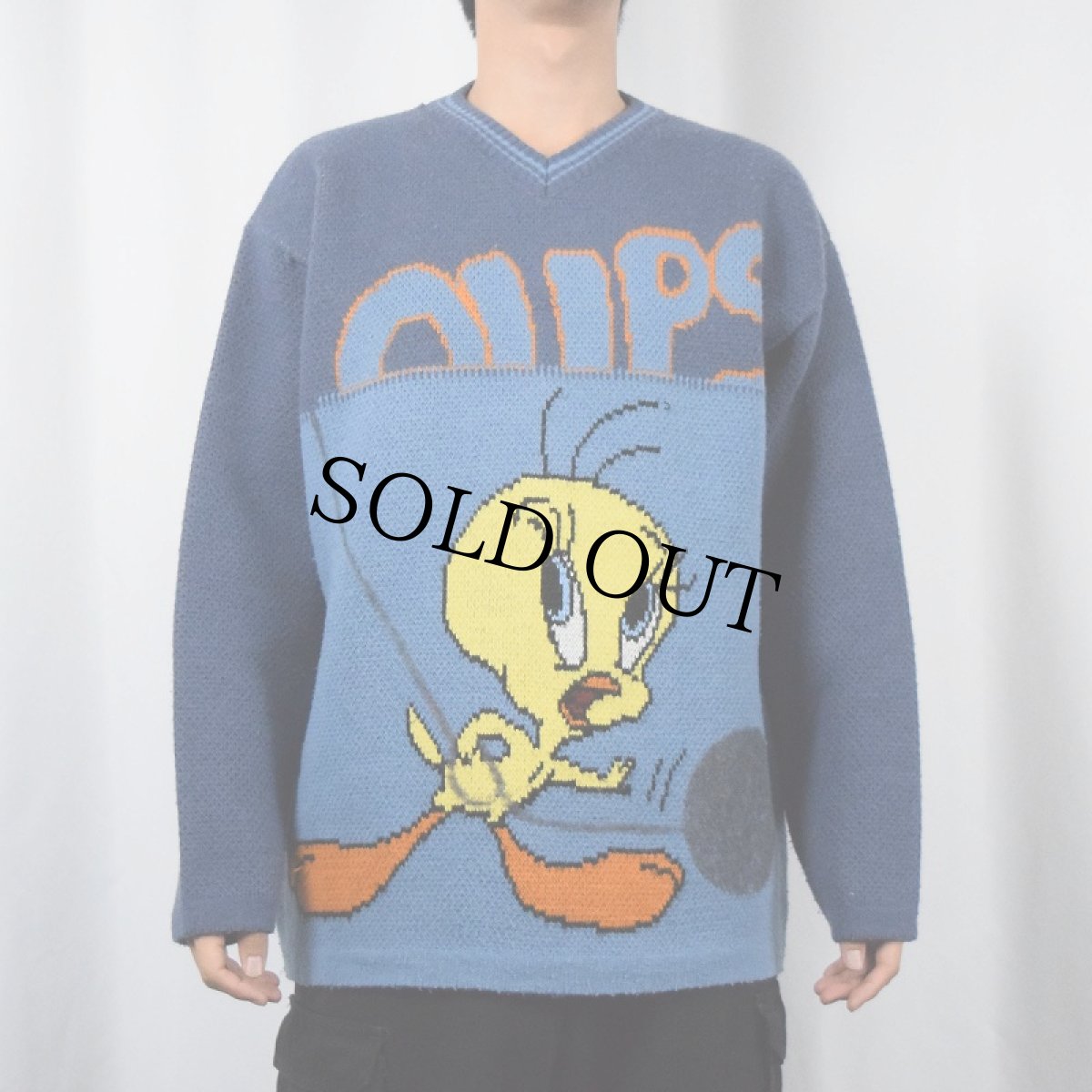 画像2: LOONEY TUNES "TWEETY" キャラクター柄 スキーニットセーター (2)