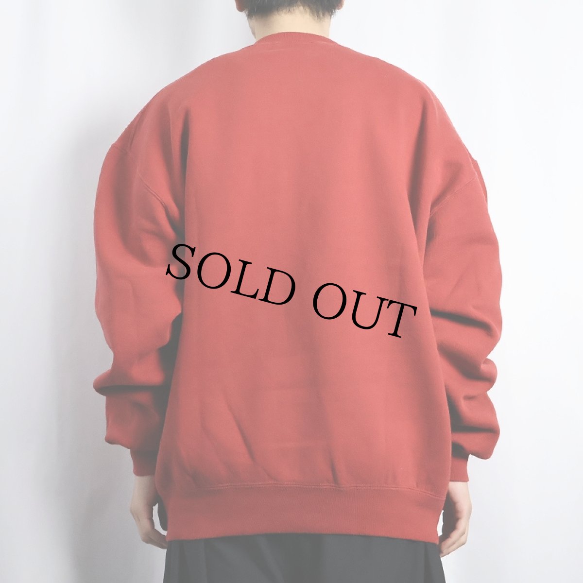 画像3: 90's RUSSELL ATHLETIC USA製 前V 無地スウェット XL (3)