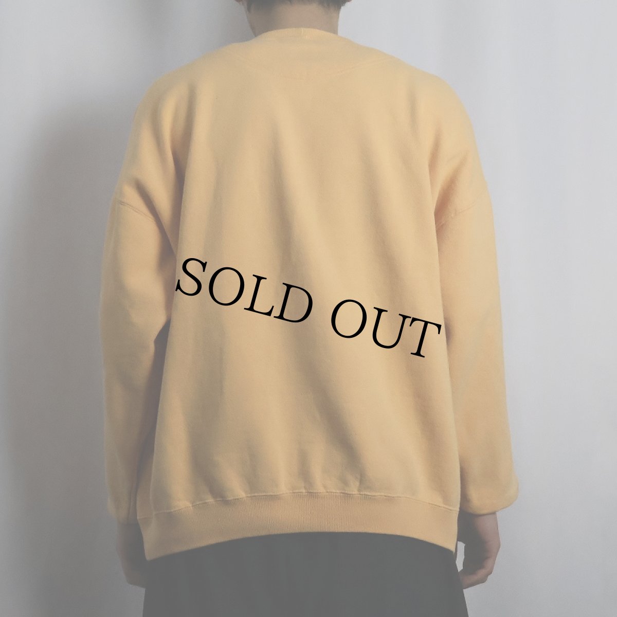 画像3: 90's GAP 前V 無地スウェット L (3)