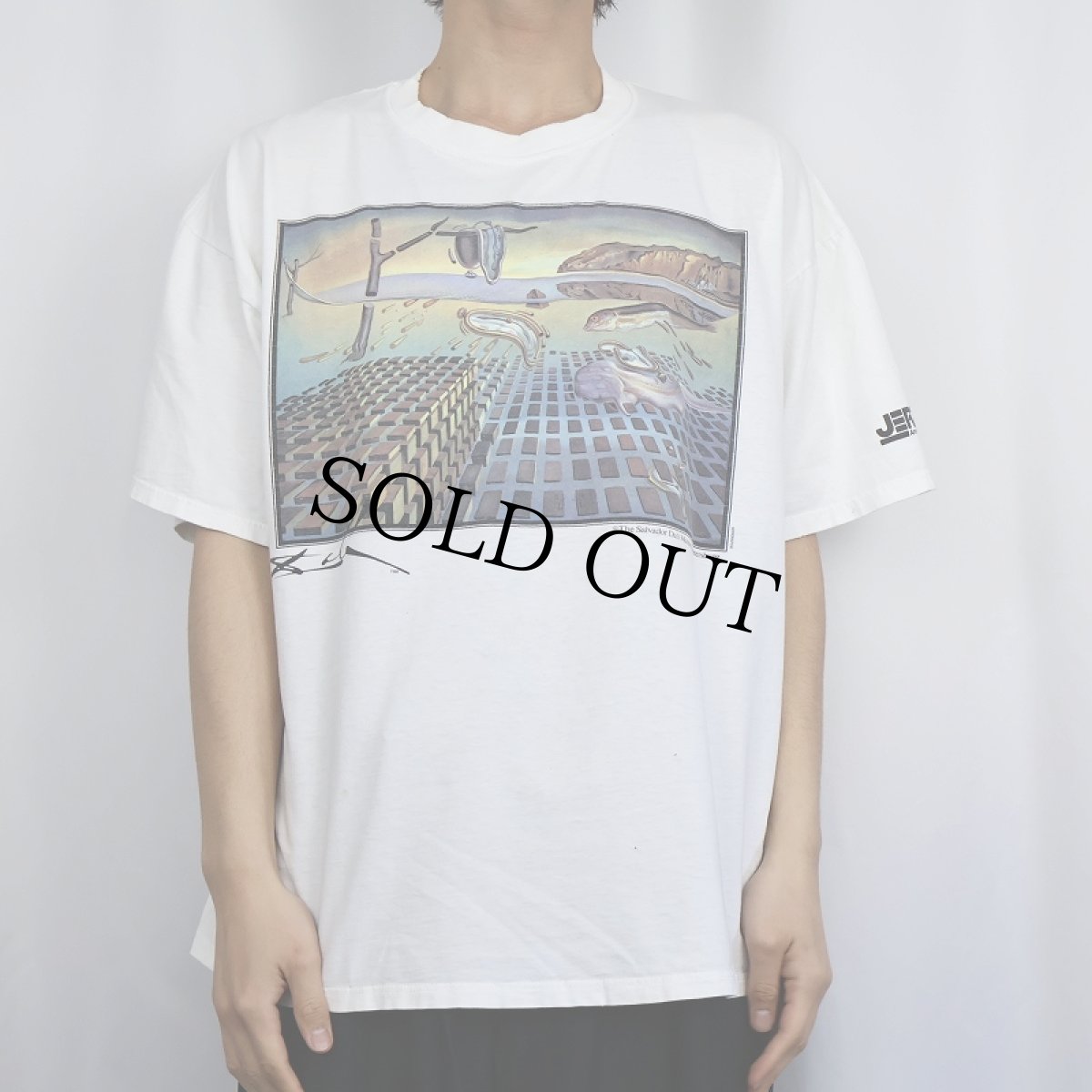 画像2: 90's SALVADOR DALI USA製 "記憶の固執の崩壊" アートプリントTシャツ XL (2)