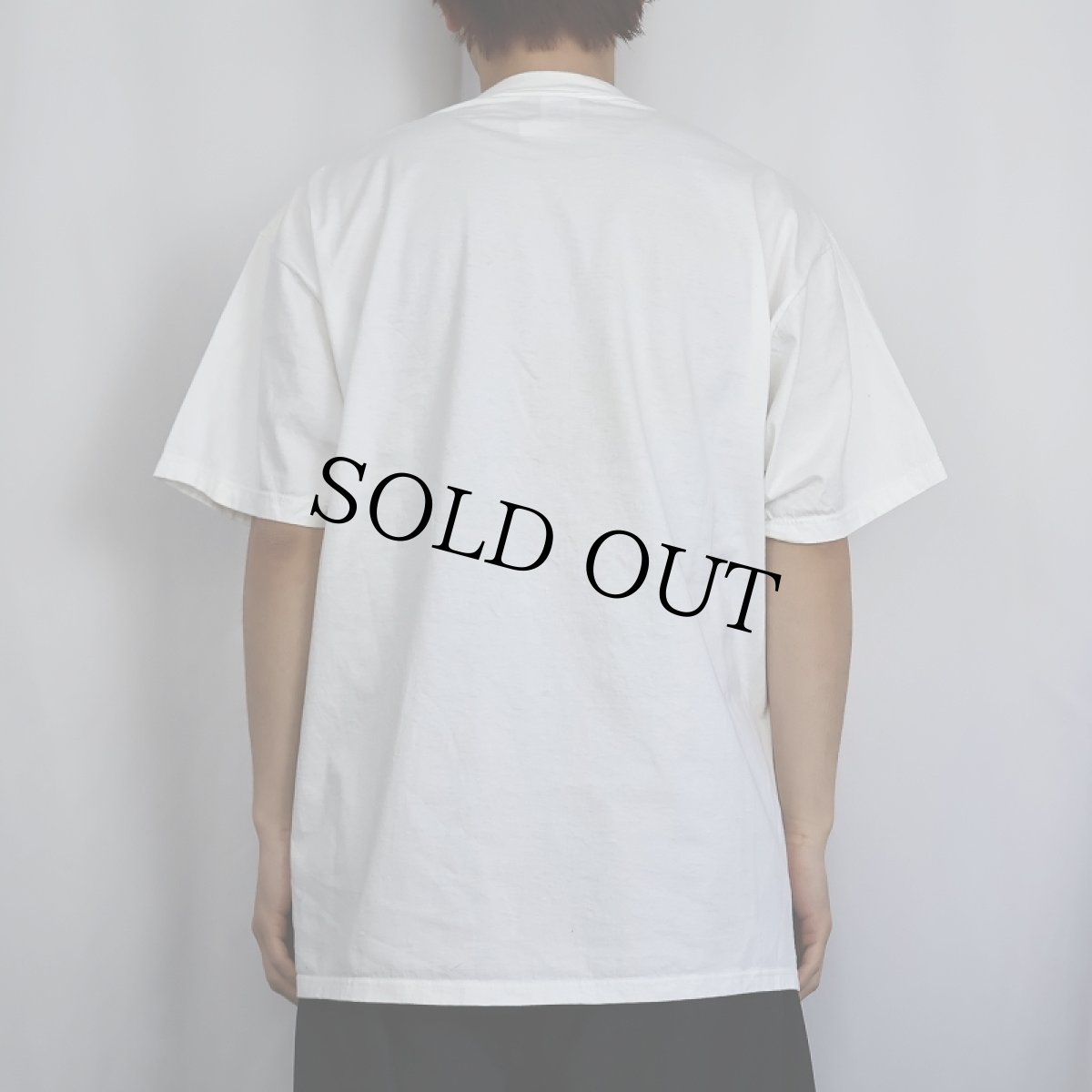 画像3: 90's SALVADOR DALI USA製 "Living Still Life" アートプリントTシャツ DEADSTOCK XL (3)