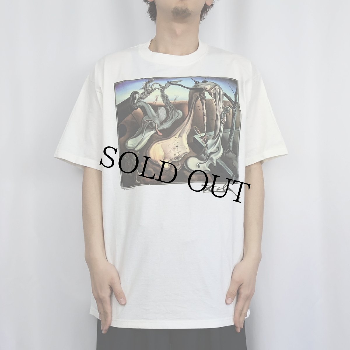 画像2: 90's SALVADOR DALI USA製 "APIDER OF THE EVENING" アートプリントTシャツ DEADSTOCK L (2)