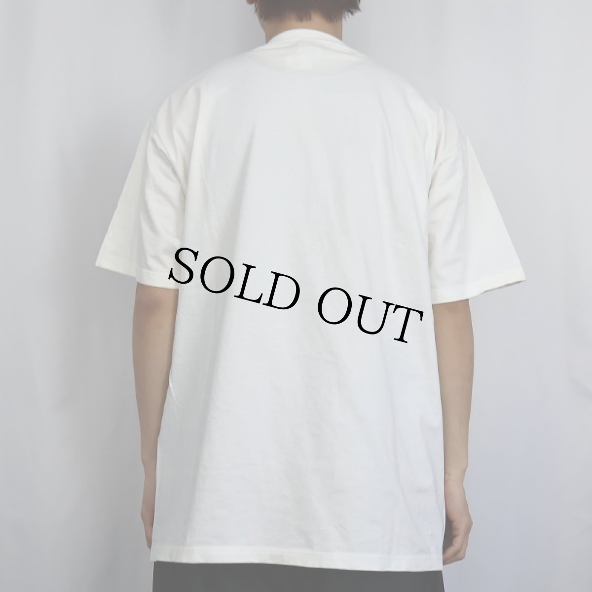 画像3: 90's SALVADOR DALI USA製 "APIDER OF THE EVENING" アートプリントTシャツ DEADSTOCK L (3)