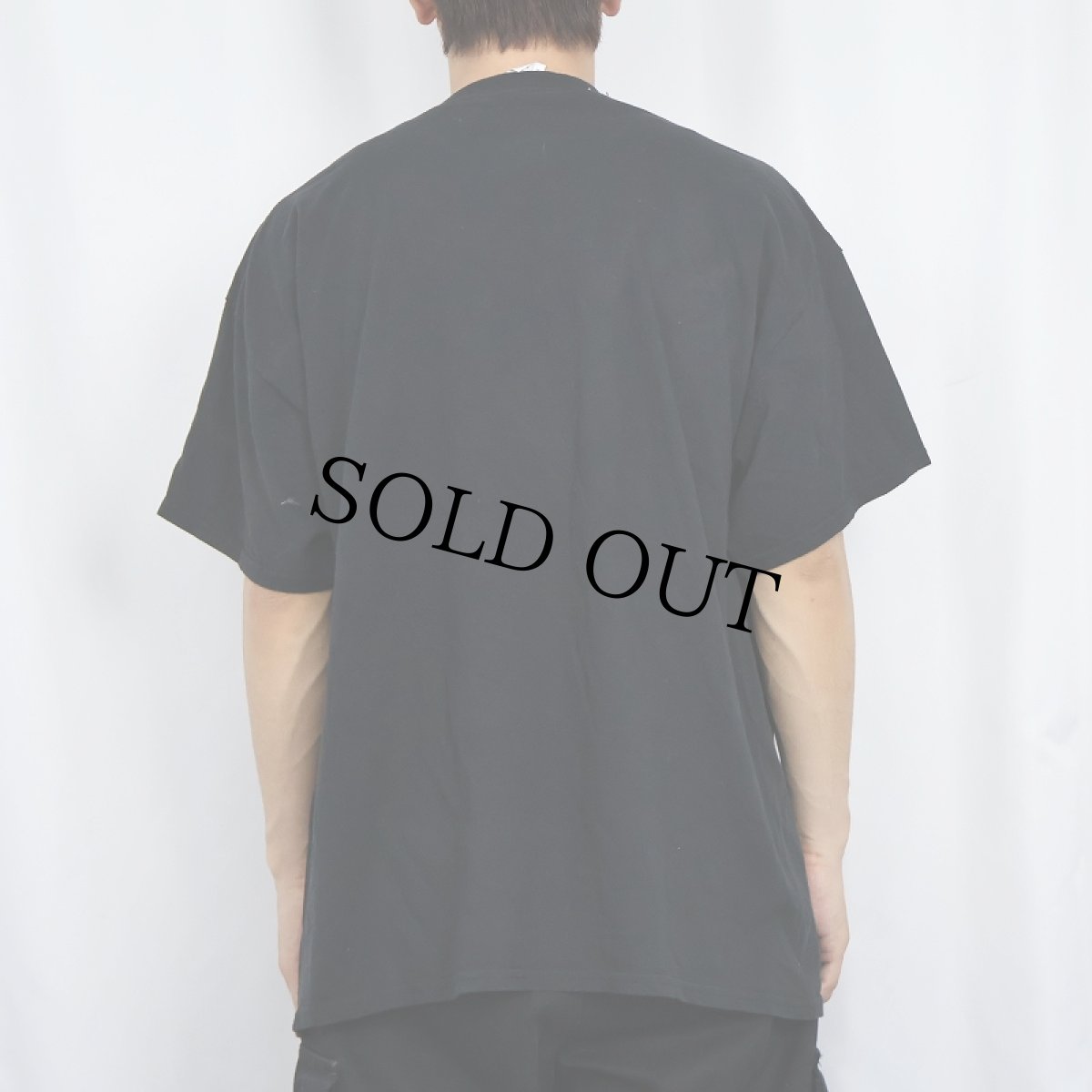 画像3: ALICE IN CHAINS ロックバンド プリントTシャツ BLACK XL (3)