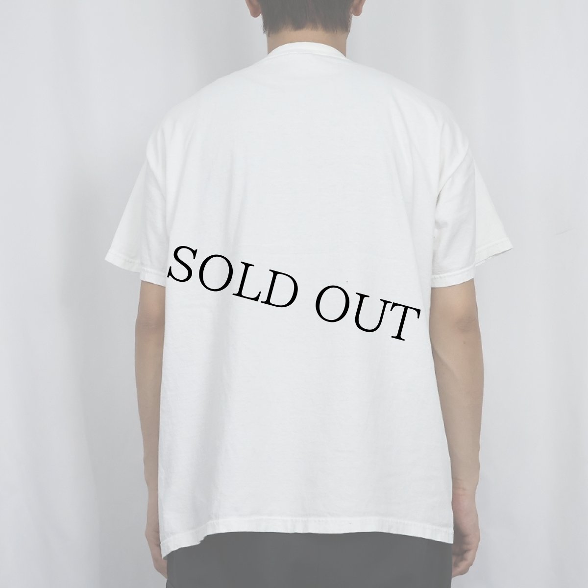 画像3: ZVEX AMPS ギターアンプ プリントTシャツ XL (3)