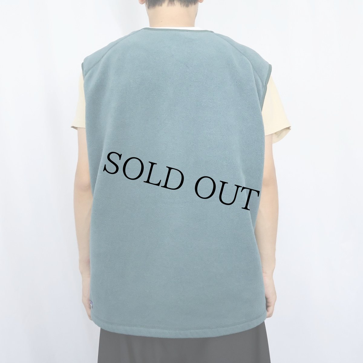 画像3: 90's Patagonia USA製 シンプルベスト L (3)