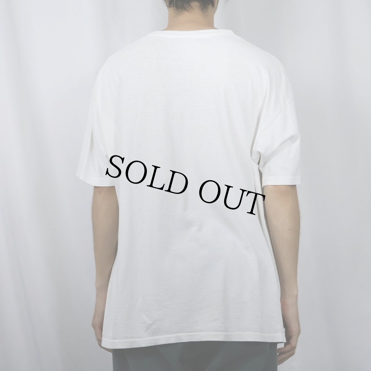 画像3: 【SALE】 90's USA製 昆虫プリントTシャツ XL (3)