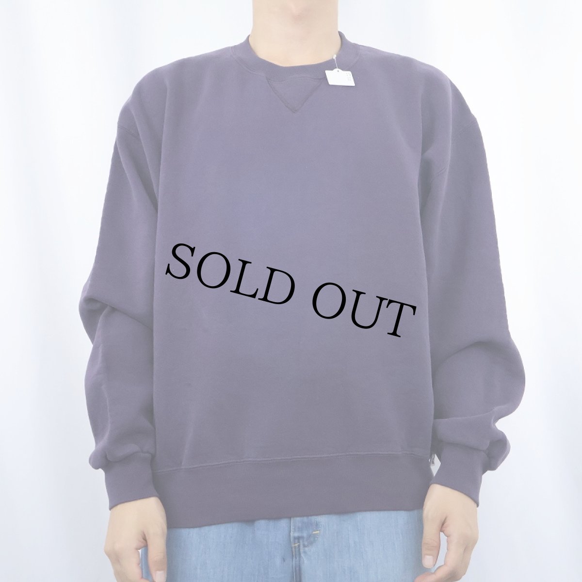 画像2: RUSSELL ATHLETIC 前V 無地スウェット (2)