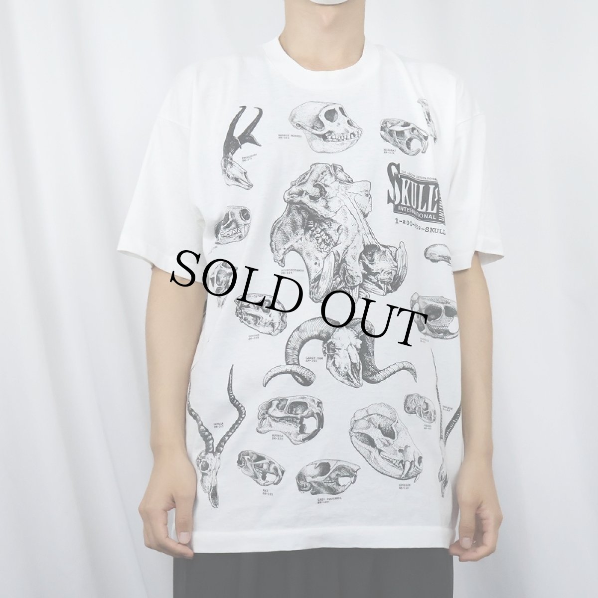 画像3: 90's USA製 動物 骨格標本 プリントTシャツ XL (3)