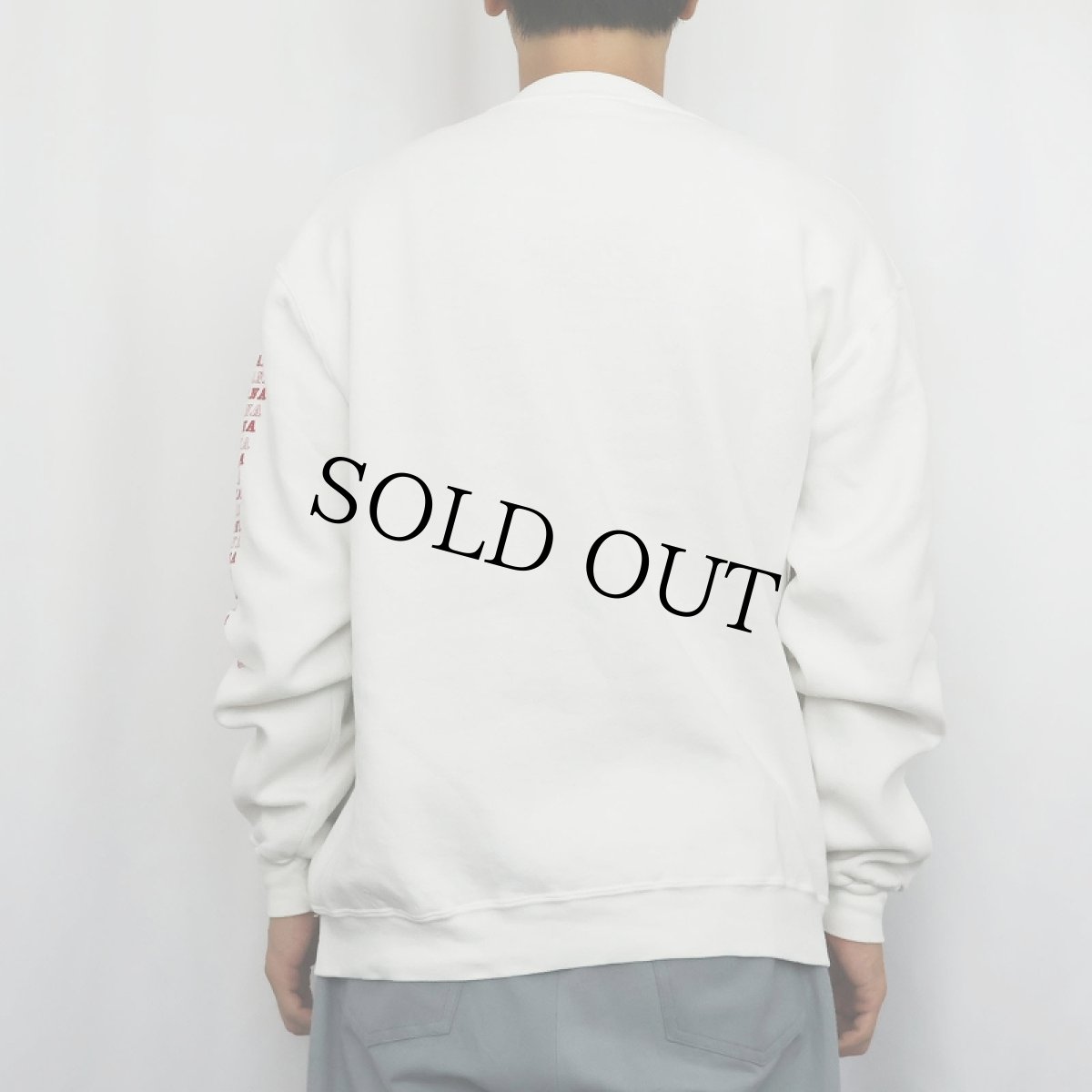 画像3: 80's RUSSELL ATHLETIC USA製 "INDIANA" 前V プリントスウェット L (3)