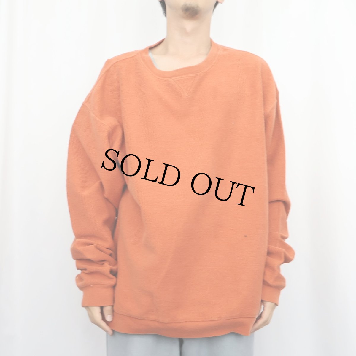 画像2: 90's LANDS' END USA製 前V 鹿の子スウェット XL (2)