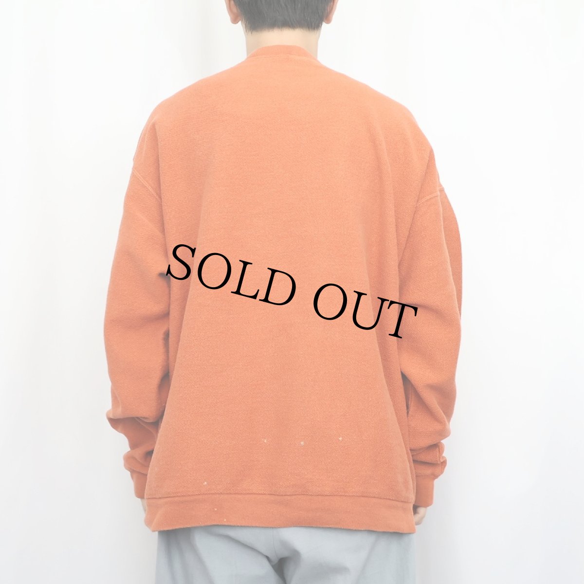 画像3: 90's LANDS' END USA製 前V 鹿の子スウェット XL (3)