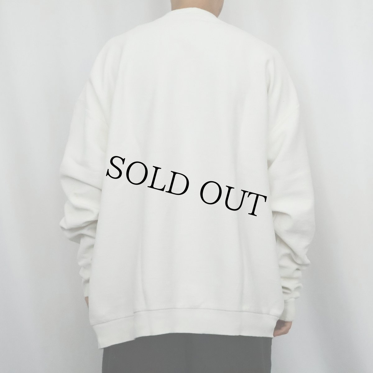 画像3: 90's LANDS' END USA製 前V 鹿の子スウェット 2XL (3)