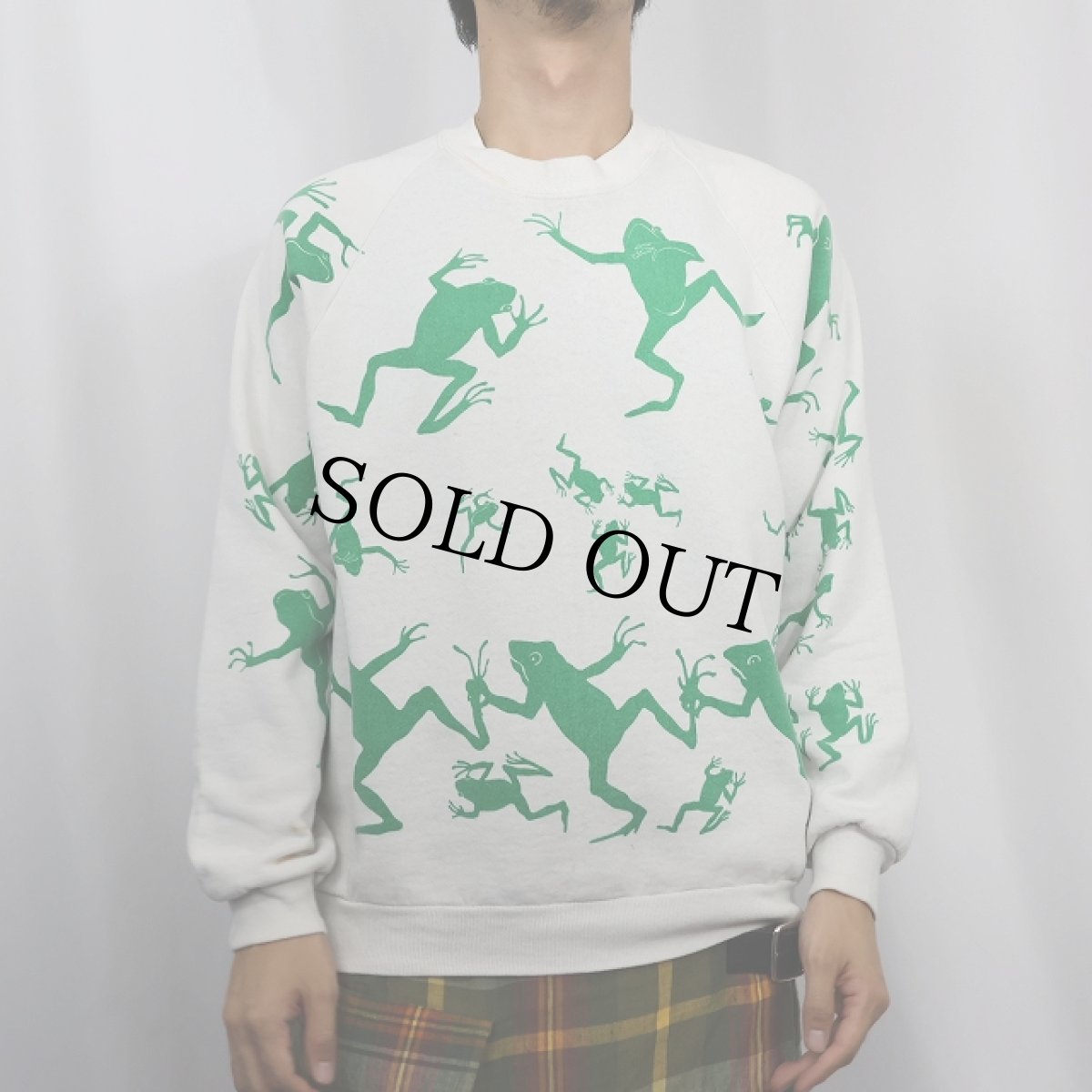 画像2: 80〜90's JERZEES USA製 "MICHIGAN RAG" カエル柄 プリントスウェット L (2)