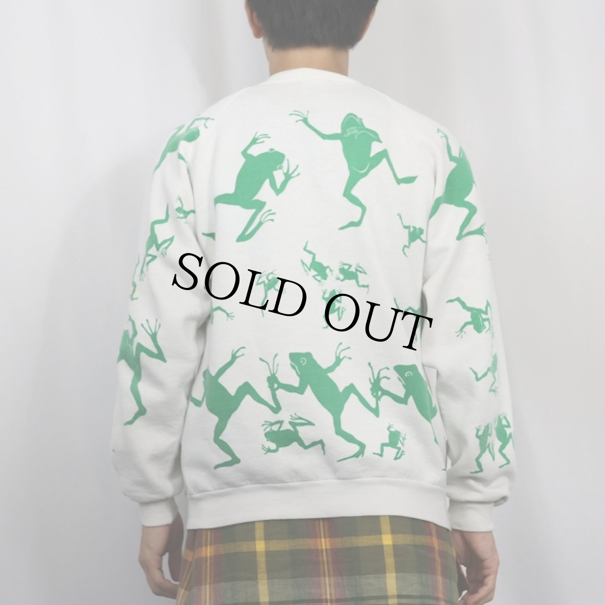 画像3: 80〜90's JERZEES USA製 "MICHIGAN RAG" カエル柄 プリントスウェット L (3)