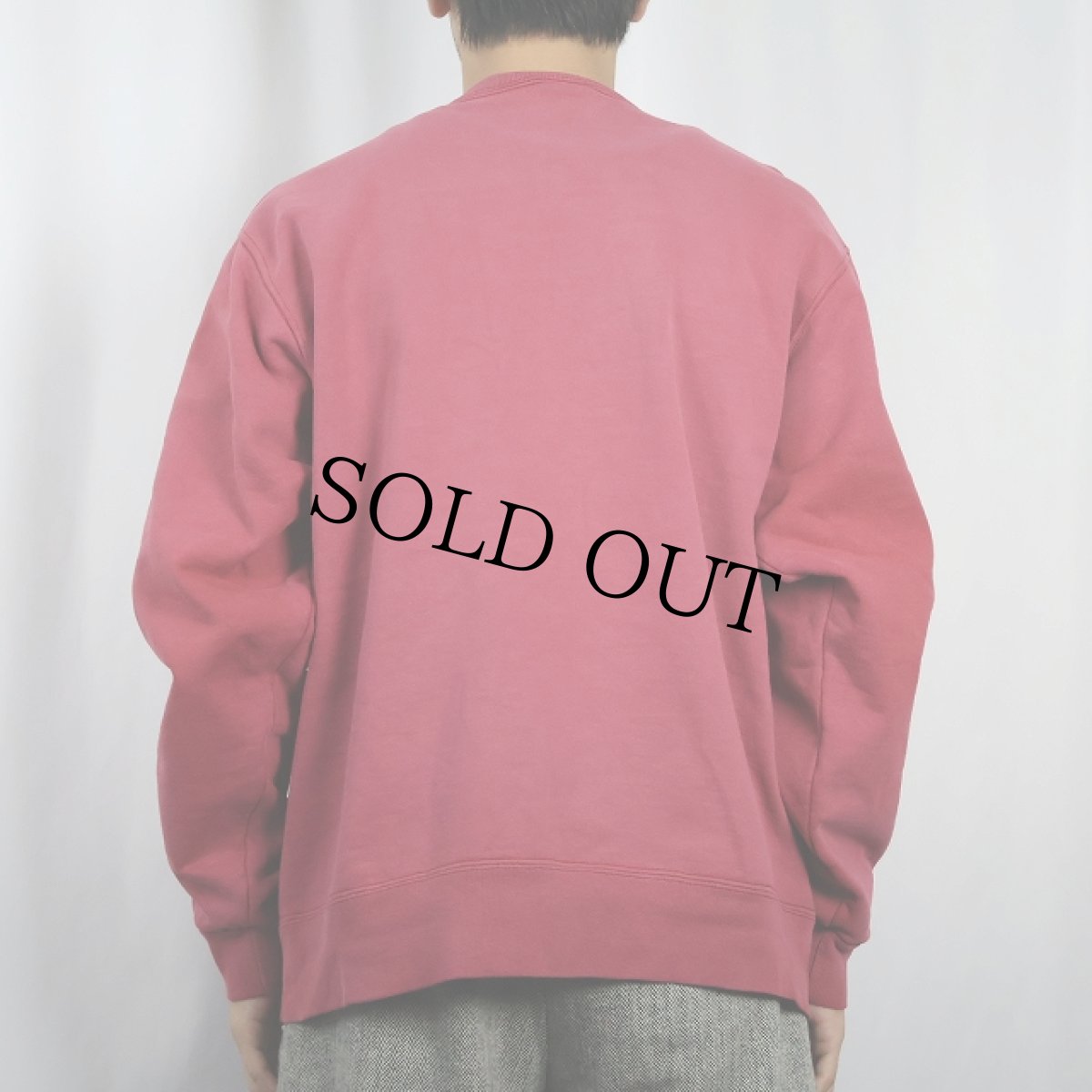 画像3: 90's Champion 青刺繍タグ後期 USA製 ロゴ刺繍 前Vスウェット L (3)