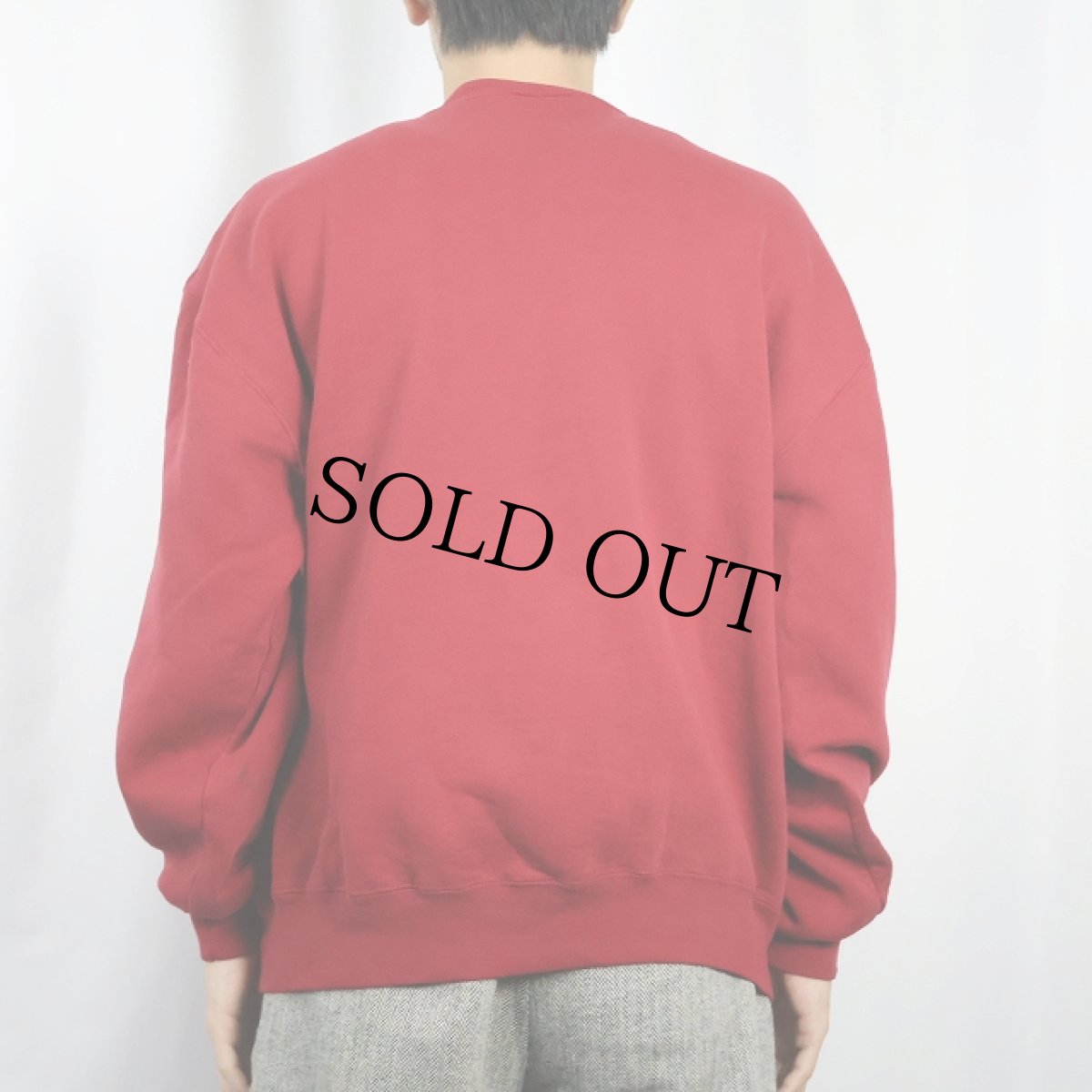 画像3: 90's RUSSELL ATHLETIC USA製 前V 無地スウェット L (3)