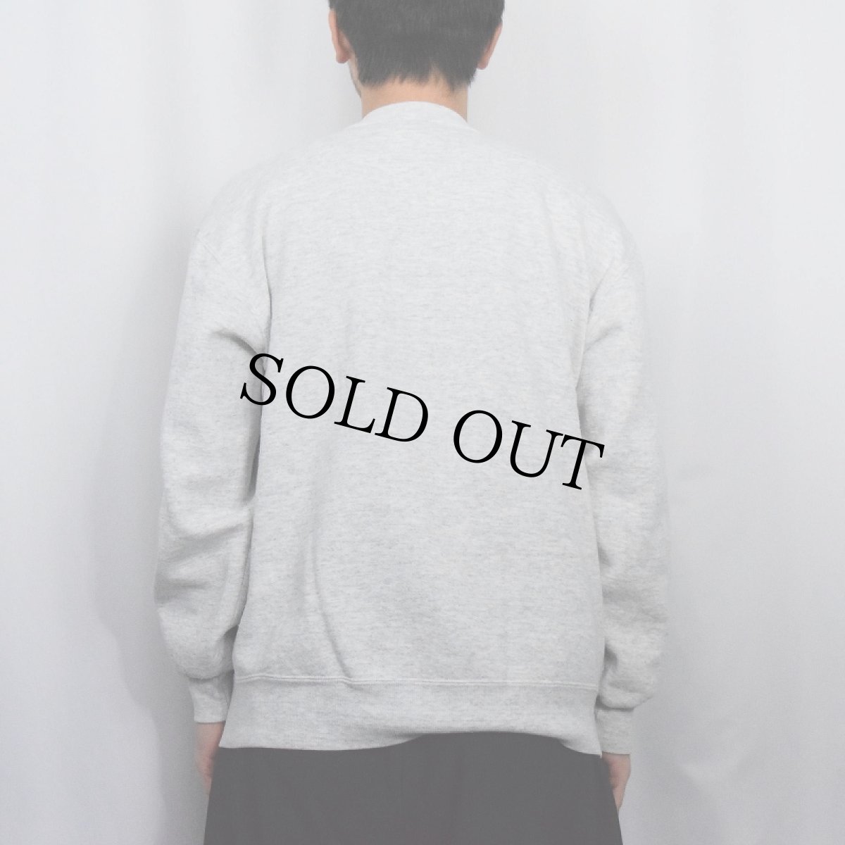 画像3: 90's RUSSELL ATHLETIC USA製 前Vスウェット L (3)